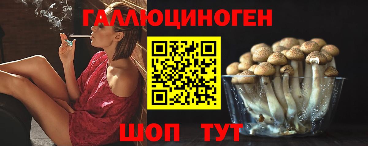Артём  Псилоцибиновые грибы GOLDEN TEACHER  наркотики  Вход с VPN 